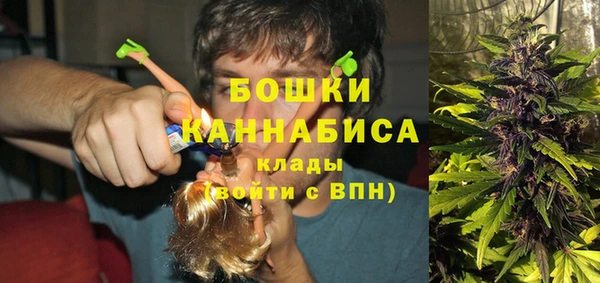 бошки Дмитриев
