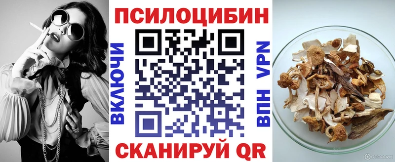 Галлюциногенные грибы GOLDEN TEACHER  Купить  Зея 